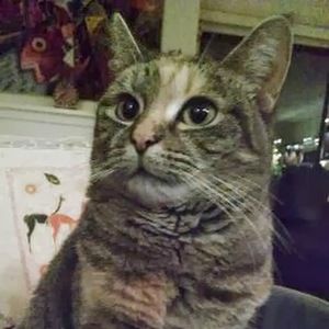 Meet your Posher, Tatiana